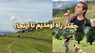 ۵ دقیقه تو کوه‌های ماسال ریلکس کن 🧘🏻‍♀️ ولاگ کوهنوردی در ییلاق اولسبلانگا