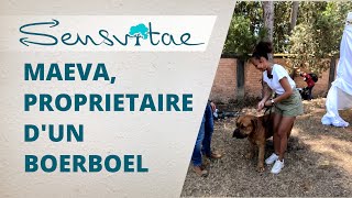 Interview d'une propriétaire d'un Boerboel à Madagascar