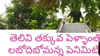 #కొత్త కథ # తెలివి తక్కువ పెళ్ళాం# my new story plz watch full story#