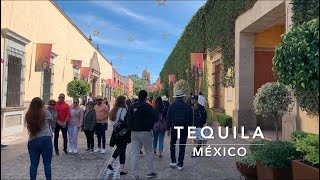 TEQUILA 4K | DJI OSMO MOBILE 3 + iPhone XR Cinematic Footage