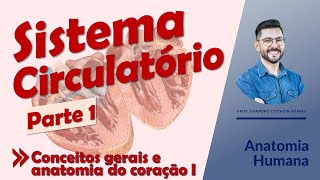 Sistema Circulatório - Aula 01 - Conceitos gerais e anatomia do coração I - Anatomia Humana