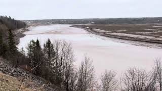 Tidal bore @ Allison NB, Canada. April 7, 2024.