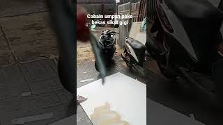 sikat gigi jadikan umpan