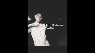 La Santa Grifa //A Ti Mi Dama.#shortvideo