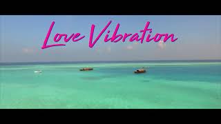 LOVE VIBRATION - MORTIMER