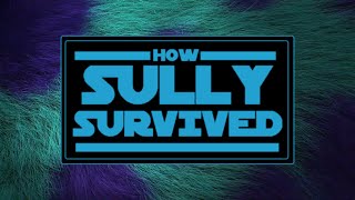 How Sully Survived