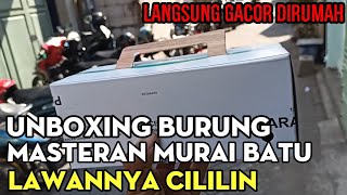 UNBOXING BURUNG MASTERAN MURAI BATU || PENANGKAL SUARA CILILIN