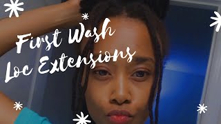 First Wash | Loc Extensions on Mature Locs [170]