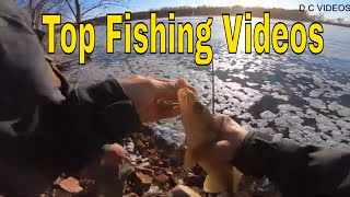 Early Spring Walleye Fishing Under Dam! Shore Fishing - Top Fishing Videos