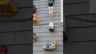 Birdhouses Perkins Cove Maine #shortsfeed #birdhouses