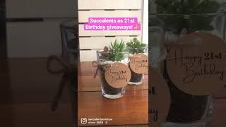 🤩🥳 Succulents as Birthday Giveaways! super cute! 🤩 #succulents #succulentarrangement