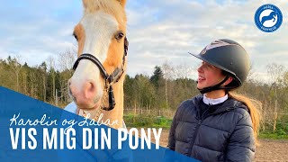 🦄 Vis mig din pony: Freja og Vicas 🦄