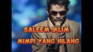 Saleem iklim - Mimpi Yang Hilang