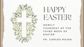 Homily Thursday of the Third Week of Easter