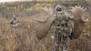 Troy Sessions - Two 70" moose on one hunt!  Never been achieved before!