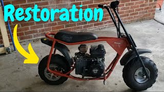 CC100X minibike restoration Part 1