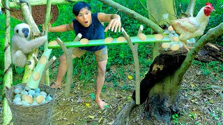 Jungle my life | Met Gibbon & bees | Take chicken egg using banana tree | Eat egg When it's raining