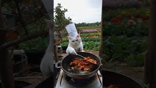 Time to cook chicken #cat #catfunny #cute #catlover