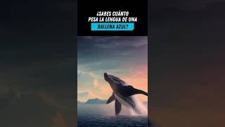 ¿Cuánto pesa la lengua de una Ballena Azul? 🐳👈