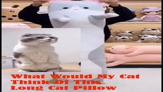 😻😻What would your cat think of your long cat pillow ?| barkermeow