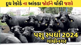 દૂધના ચોંકાવનારા આંકડા 😳 | પશુ સ્પર્ધા 2024 | Animal Competition Gujarat