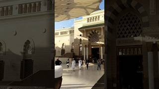 Masha Allah cleaning Masjid e Nabawi #madina #shortvideo #ytshorts #subscribe #dailylive #shorts