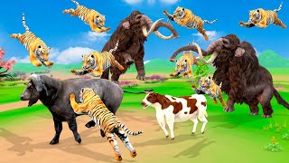 African Buffalos vs Giant Tigers Animal Fight | Elephant Mammoth Save Cow From Zombie Tigers