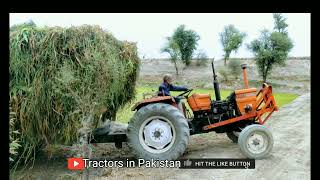 Fiat tractor 480 pulling loaded trolley of grass