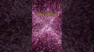 Fun video by TikTok