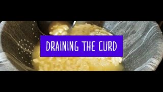 07 - Basic Steps of Hard Curd Cheese Making - Draining The Curd