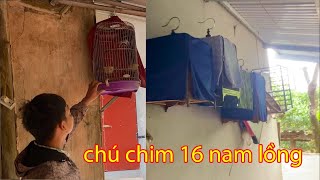 chú chim già cú cụ 16 năm - Ngày mưa giá rét đầu mùa - đến thăm đàn chim của anh em