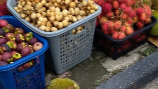 TAMU MINGGUAN TENOM. BANJIR BUAH