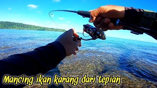 Waktunya berburu ikan karang di pantai penuh karang