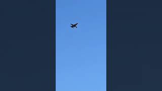 2 Whiteman T-38 talons flying over and landing at MYR #aviation #t38