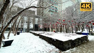 [4K] 🎄 Christmas Vibes at Yorkville, Toronto | Walking Tour in Snow | 2022