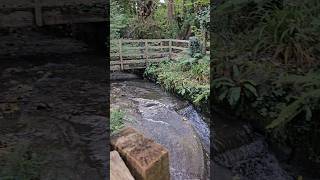 Peaceful Fairy Glen River Sounds | Nature Relaxation ASMR