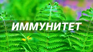 Иммунная система. Усиление иммунитета. Скрытые аффирмации. Саблиминал.