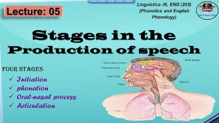 Production of Speech Sounds | Stages in the Production of Speech sounds