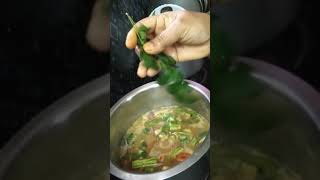 SOUTH INDIAN SPECIAL RECIPE SAMBAR  IN BENGALI LANGUAGE