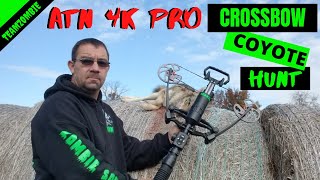 cross bow hunting coyotes with atn 4k pro