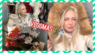 🎄🎄Vlogmas - kwiaty, porządki, zakupy🎄🎄