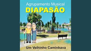 Casa da Mariquinhas / Senhor Vinho (Instrumental)