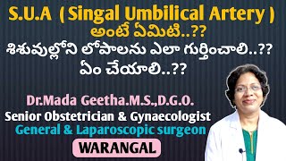 What is Singal Umbilical Artery/ How to exclude Congenital Abnormalities/Dr.Mada Geetha