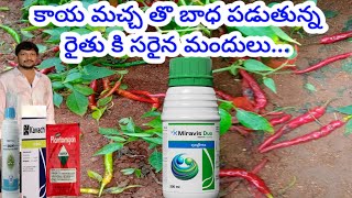 #మిరప లో కాయ మచ్చ కీ సరైన మందులు..#syngenta #miravis Duo #tata #ERGON