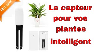 🌱 Flower Care le capteur intelligent et connecté pour vos plantes