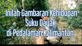 Kehidupan Sehari-hari Suku Dayak ( Pergi ke Kebun Karet)