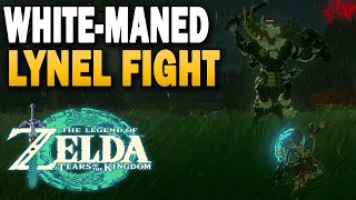 Zelda Tears Of The Kingdom White Lynel Fight