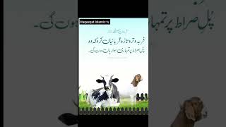 Qurbani ki fazilate #Qurbani #qurbani2k24 #Qurbanikajanwar #shortvideo #shorts