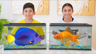 Petualangan misterius Jason dan Heidi menemukan ikan yang hilang🐟🐠🐡