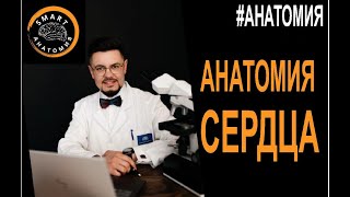 SmartLearn: Вячеслав Варенцов  "Анатомия Сердца"